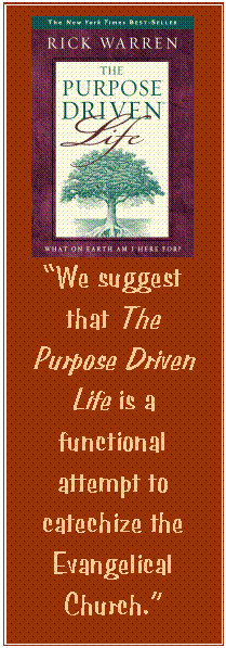 Text Box:  
“We suggest that The Purpose Driven Life is a functional attempt to catechize the Evangelical Church.”

